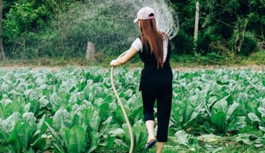 Organic and sustainable gift ideas for father’s day
