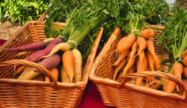 The Truth Is You Are Not The Only Person  Concerned About organic