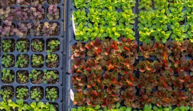 Read This Controversial Article And Find Out More About organic